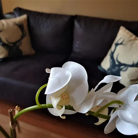 Le Bon'aparte - Hypercentre De * פונטנבלו